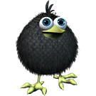 Logo of KiWi