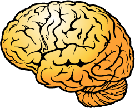 Logo of Roedie's Brain