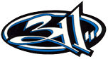 Logo of 311wiki