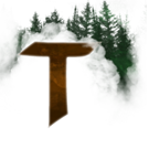 Logo of Talvyri - Monde