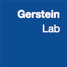 Logo of GersteinInfo