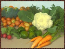 Logo of Organicwiki