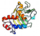 Logo of Protein Analysis and Design Group