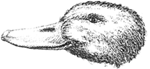 Logo of Schnabl Electronics