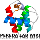 Logo of Xtal wiki