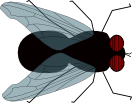 Logo of La Mouche VII