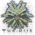 Logo of The Hub