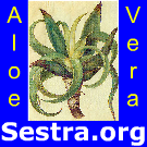 Logo of Encyklopedie zdravotní sestry