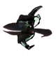 Logo of Obsidian Conflict Wiki