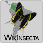 Logo of Wikinsecta