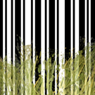 Logo of ThesisWIKI