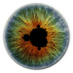 Logo of Eco