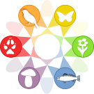 Logo of Offene Naturführer BFlor