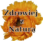 Logo of Leczenie.org.pl