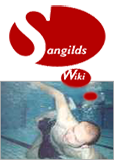Logo of Sangilds Wiki