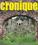 Logo of Cronique.pl
