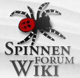 Logo of Wiki des Spinnen-Forums