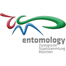 Logo of ZSM entomology