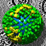 Logo of RVL-Belfast Wiki