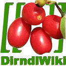 Logo of DirndlWiki