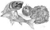 Logo of Aquaponics Academy