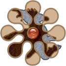 Logo of Istaria (Order Shard) Roleplay Wiki