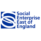 Logo of SEEE Wiki