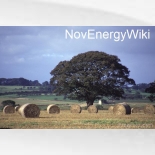 Logo of NovEnergyWiki
