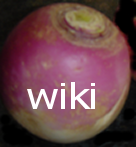 Logo of CiaransWiki