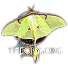 Logo of Theory.org Wiki
