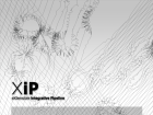 Logo of XiP-en