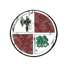 Logo of DQWiki