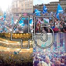 Logo of We Are The 45%