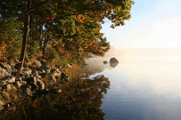 File:OAD Logo.gif