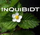 Logo of Inquibidt-Wiki