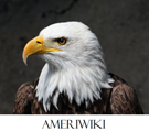 Logo of Ameriwiki