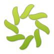 Logo of Lingoport Wiki
