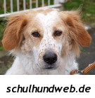 Logo of Schulhundweb