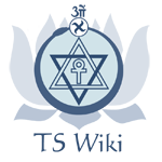 Logo of TS Wiki