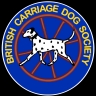 Logo of BCDS