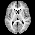 Logo of Prefrontal.org