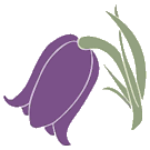 Logo of Fotoflora