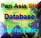 Logo of Pasnp.net