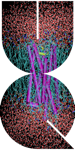 Logo of MD Group Wiki