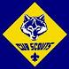 Logo of Pack 1728