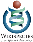 Logo of Wikispecies