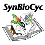 Logo of SynBioCyc