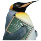 Logo of Wiki.lug.ro