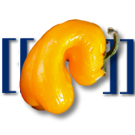 Logo of ALSwiki