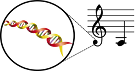 Logo of Evolutionary Music